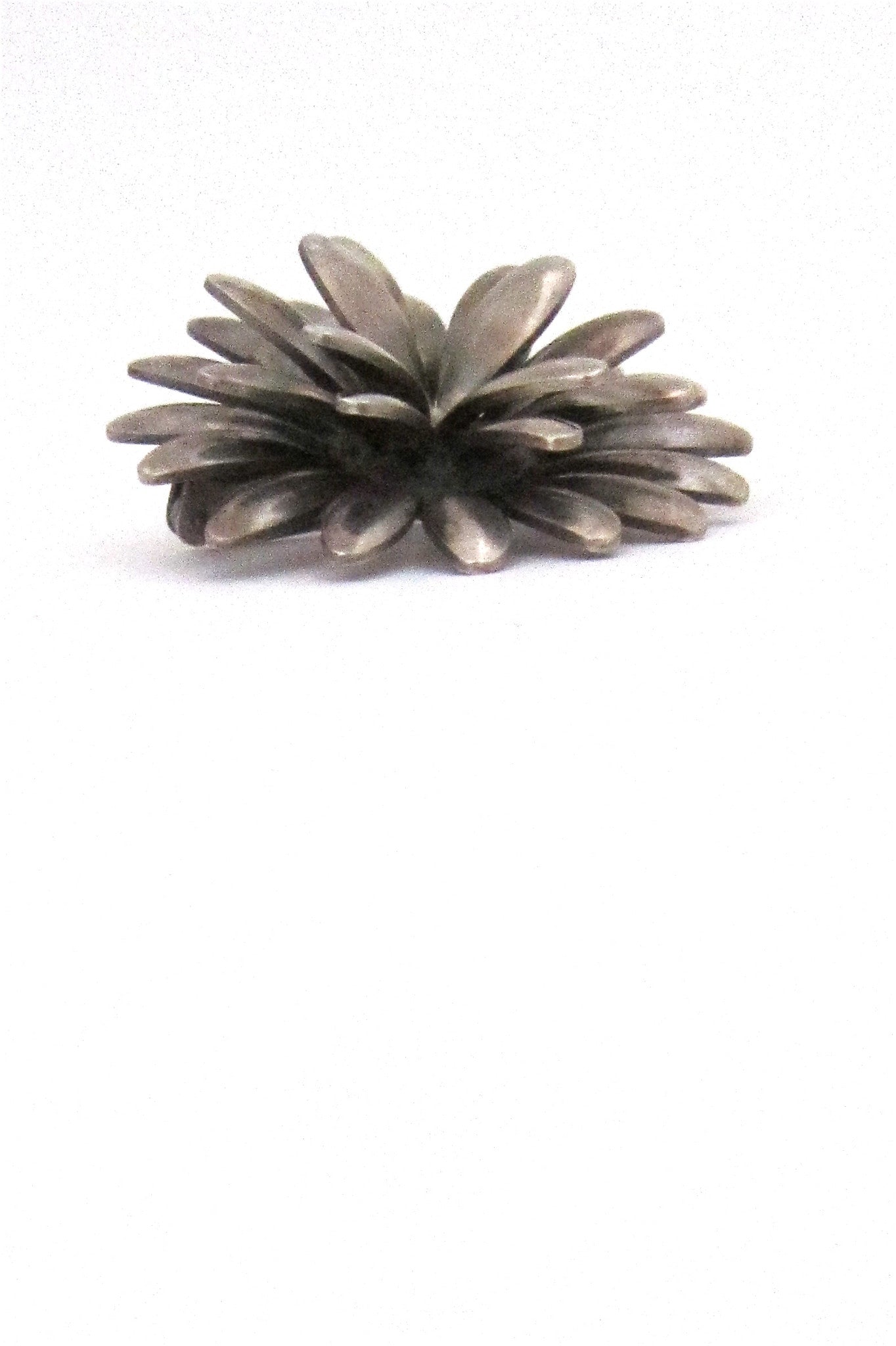 John Lauritzen dimensional daisy