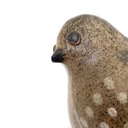 Tommy Kakinuma speckled bird #1