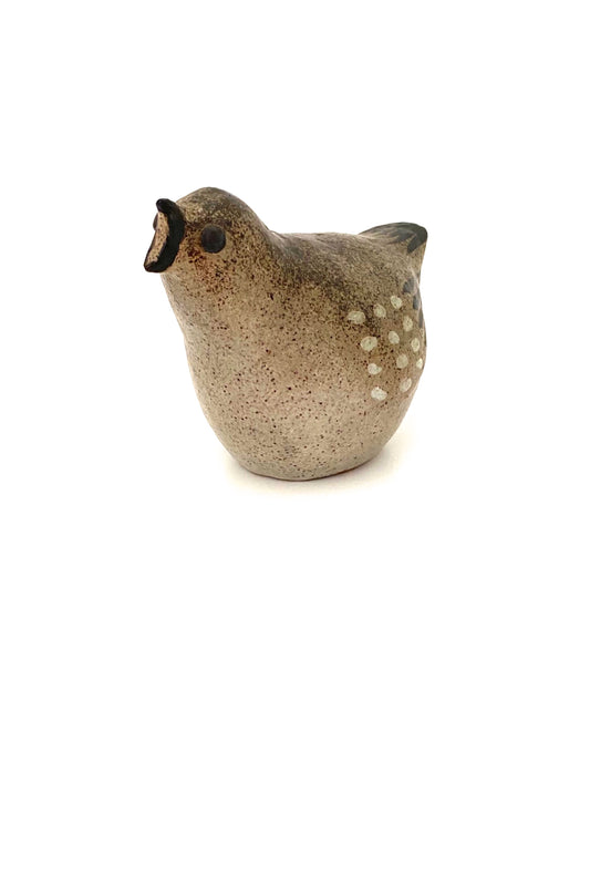 Tommy Kakinuma speckled bird #2 ~ calling