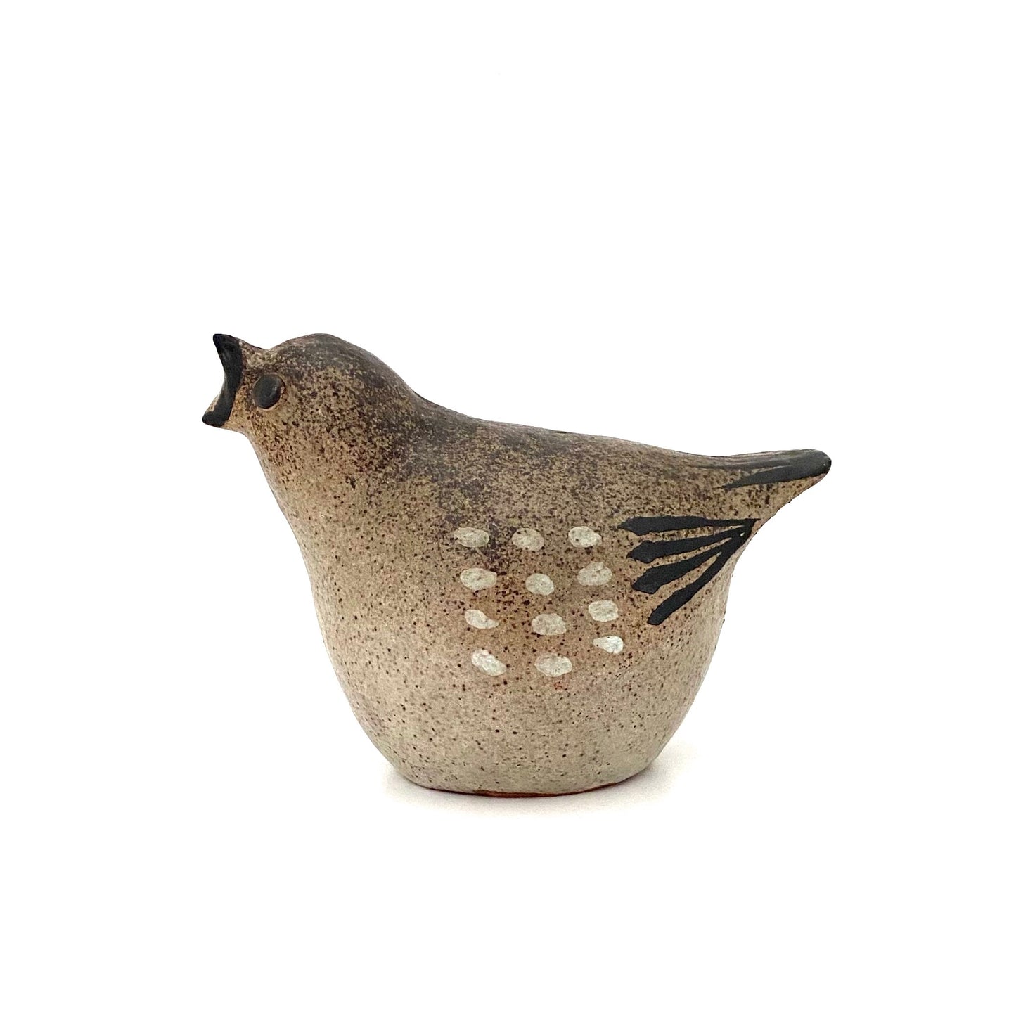Tommy Kakinuma speckled bird #2 ~ calling