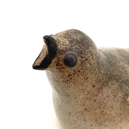 Tommy Kakinuma speckled bird #2 ~ calling