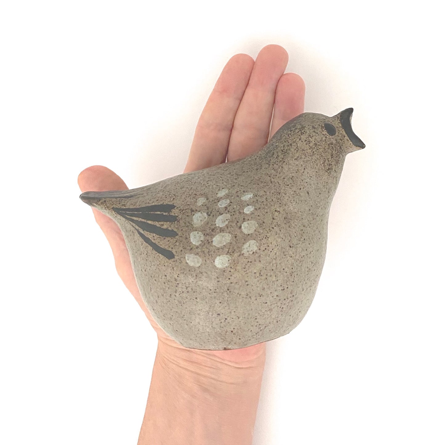 Tommy Kakinuma speckled bird #2 ~ calling