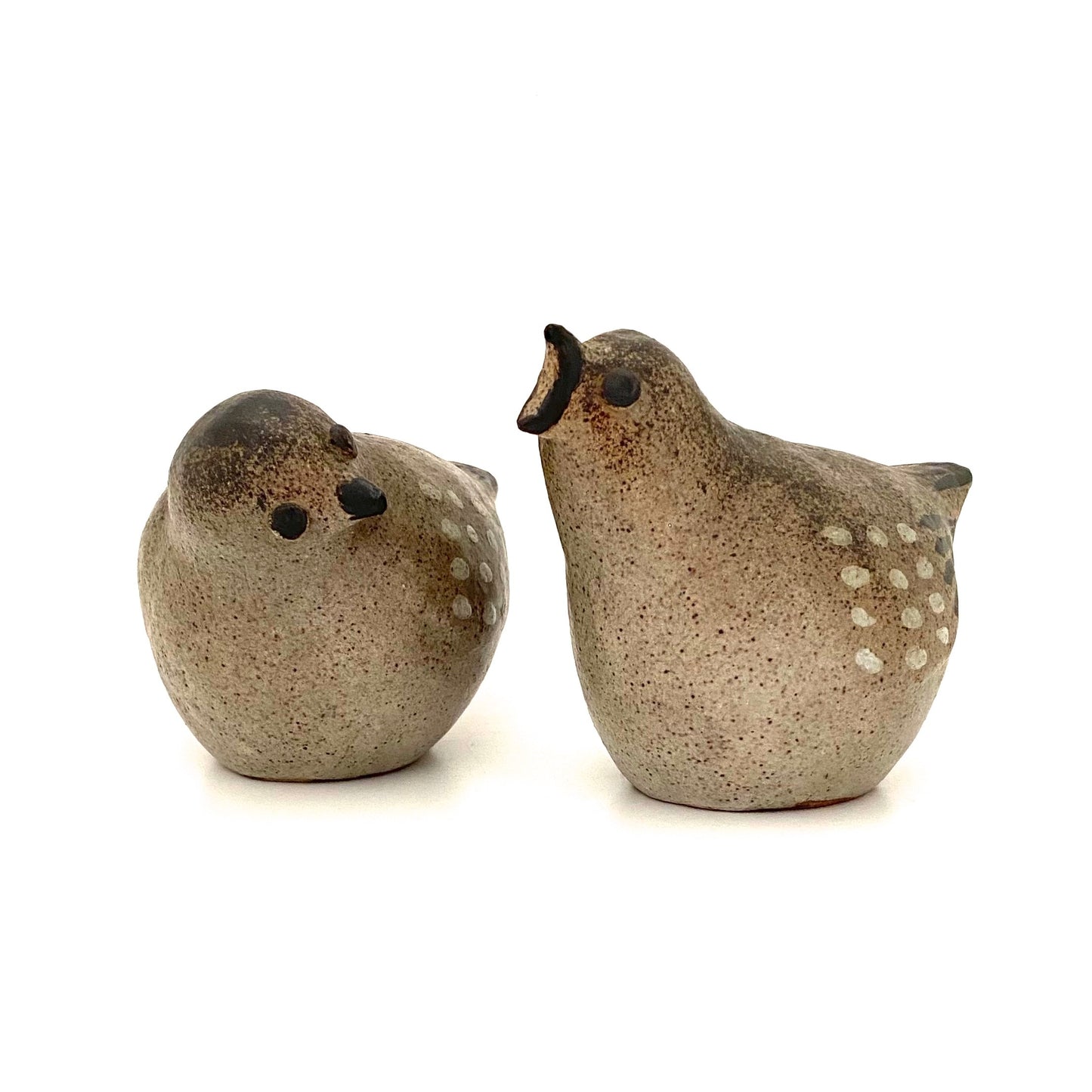 Tommy Kakinuma speckled bird #2 ~ calling